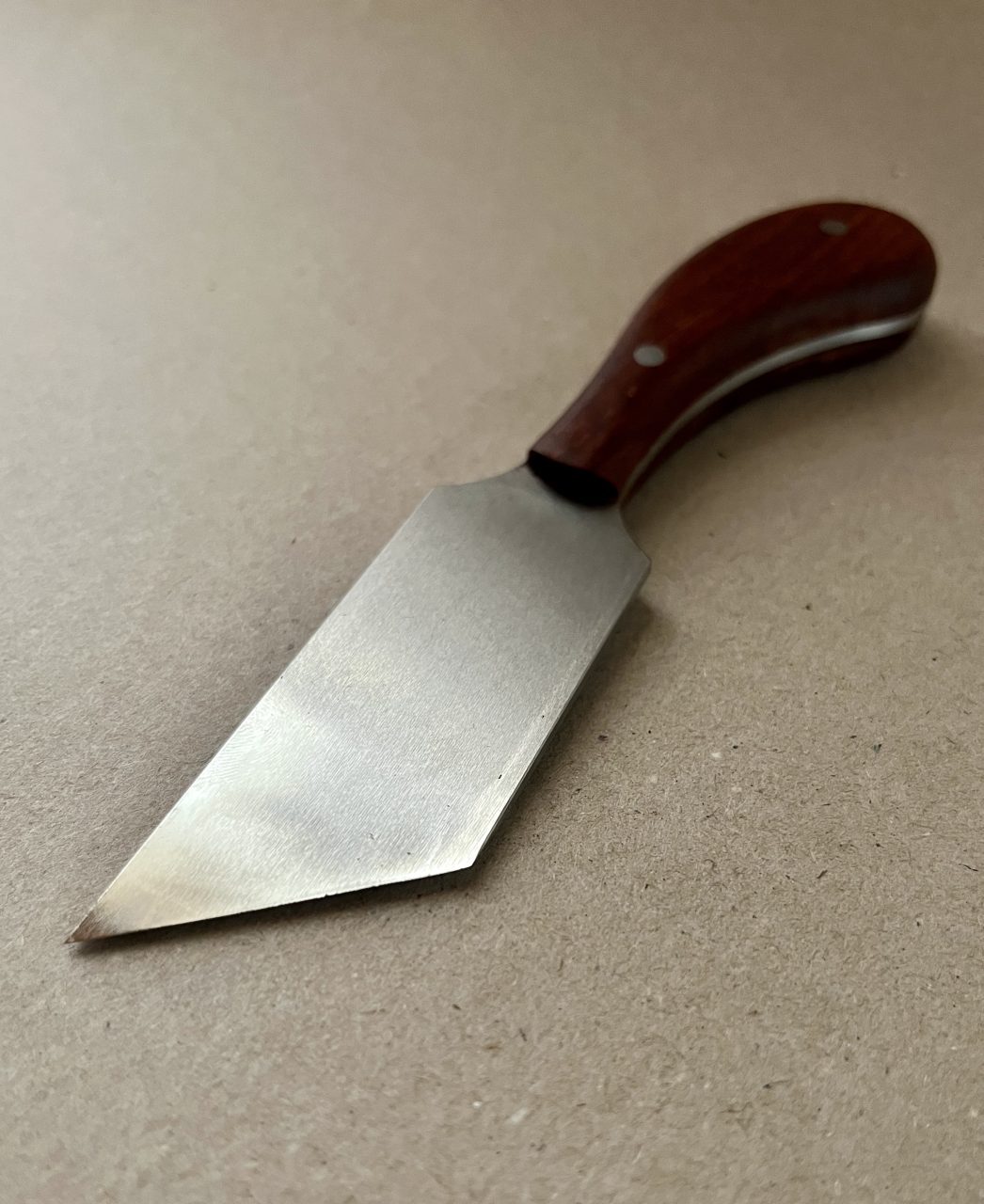 65C4B1DD-AC47-498F-8DBE-E97DA5EAD8CE_1_201_a